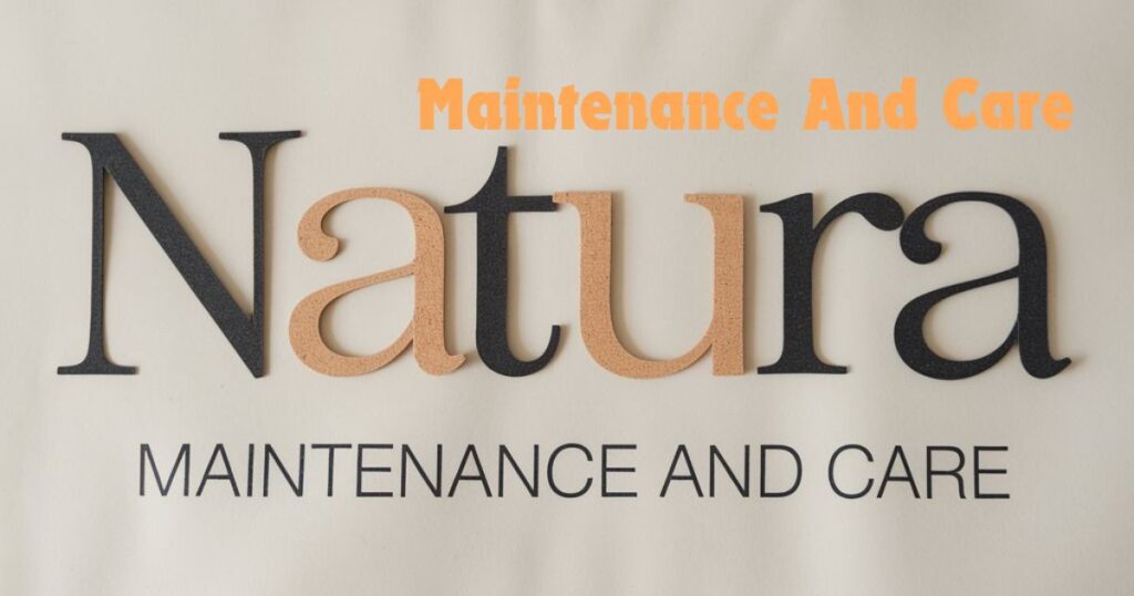 Maintenance And Care